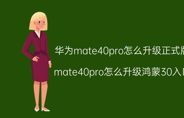 华为mate40pro怎么升级正式版 mate40pro怎么升级鸿蒙30入口？